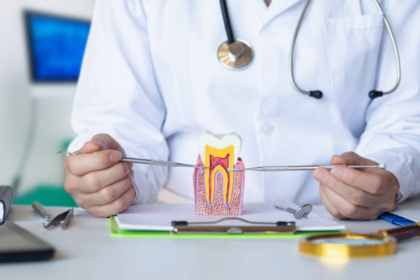 Best Emergency Broken Tooth Repair in Bardstown, KY